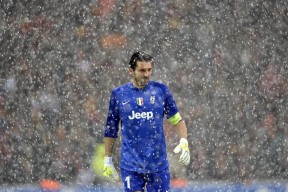 Kaiyun(中国)开云-李娜谈女儿首次上场称比自己还紧张，李娜间历