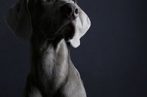 开云中国大陆-“简阳文体中心：世界顶级选手齐聚，竞技魅力无可抵挡”