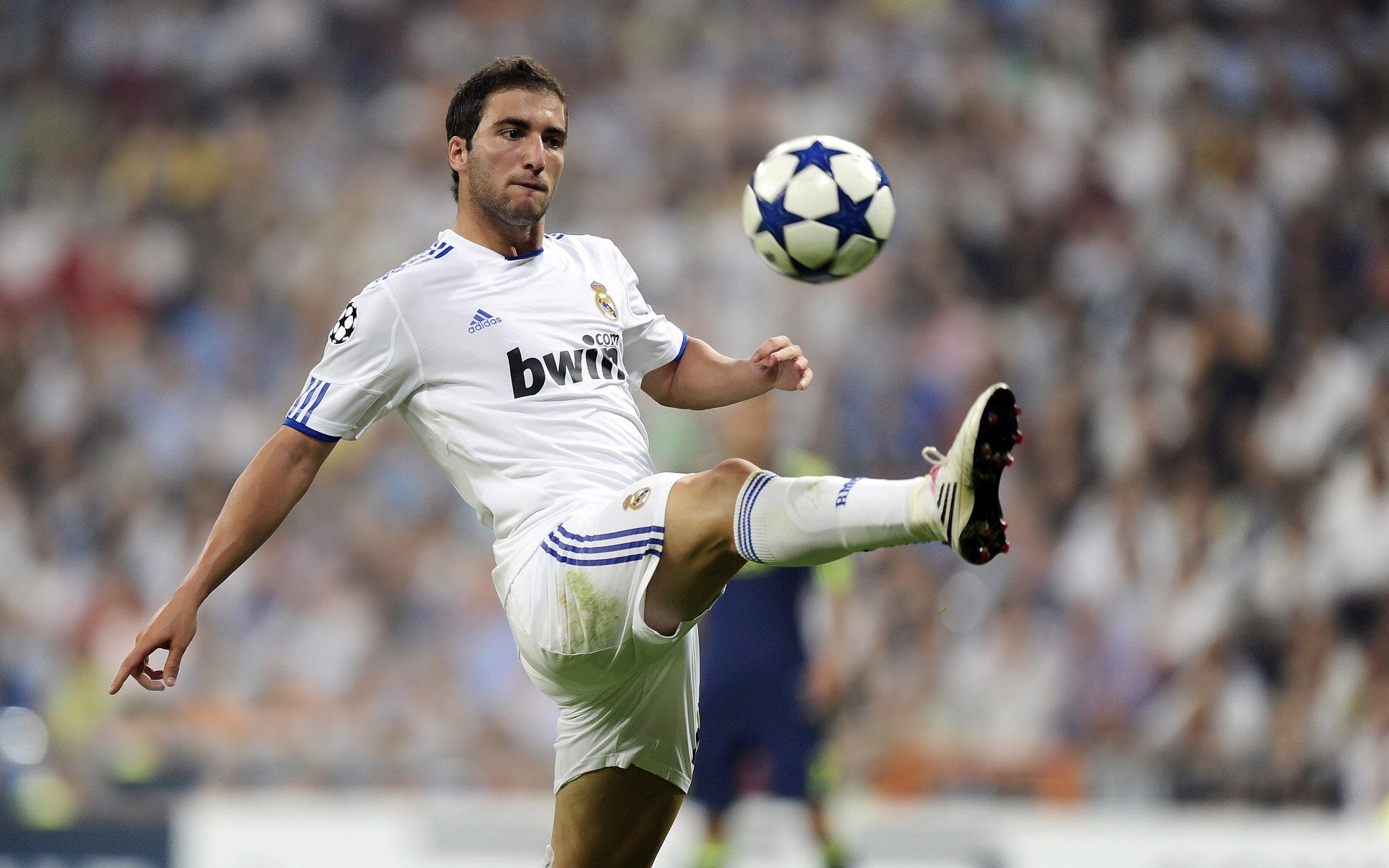 “马丁·高尔西：阿根廷橄榄球的中坚力量，未来更强”